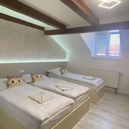 U Radnice As Hotel