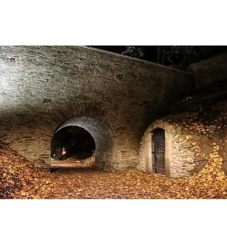 U Radnice As Hotel *